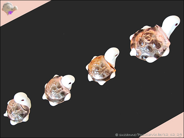 © suzanne/TORTUES_FAMILLE © suzanne/TORTUES_FAMILLE
