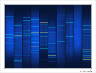 L'image DNA de Puzzlavie