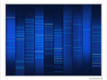 L'image DNA de Puzzlavie -- 23/08/06