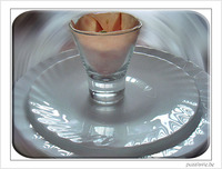 Avocat Dinde en verrine