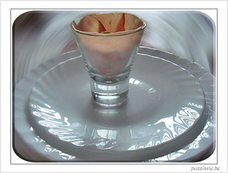 Avocat Dinde en verrine