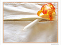 Fermeture � glissi�re bloqu�e  -- 26/06/09