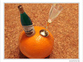 Excellente ann�e 2010�! -- 01/01/10