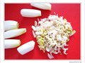 Salade de chicons -- 28/08/10