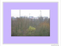 Optimisme de la Nature qui se renouvelle -- 21/04/07