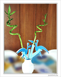 Conserver longtemps un bouquet de fleurs