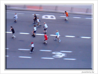 Brussels Rollers Parade 2008